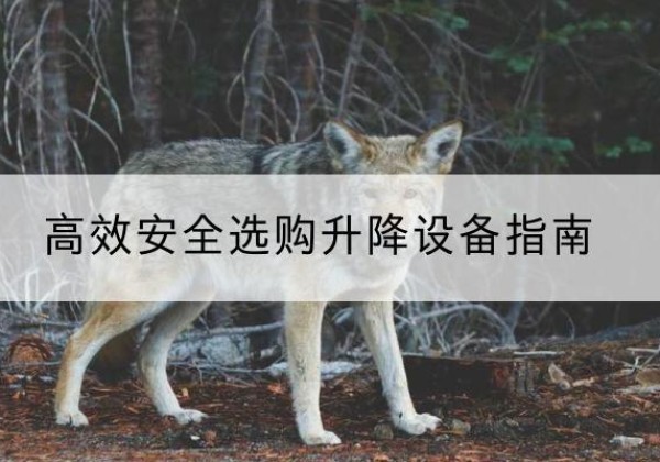 潞城升降货梯厂家推荐-*安全选购升降设备指南