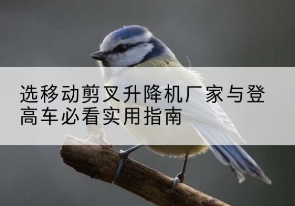 潞城电动升降机厂家-选移动剪叉升降机厂家与登高车必看实用指南