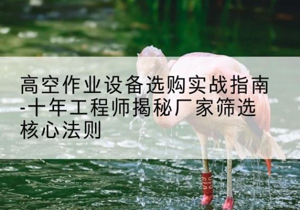 潞城剪叉式升降机厂家-高空作业设备选购实战指南-十年工程师揭秘厂家筛选核心法则